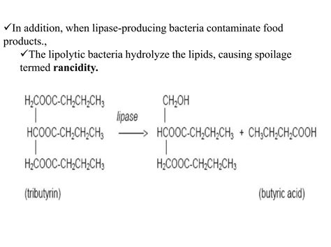 Biochemical Principles 的图像结果