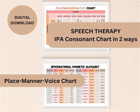 2 IPA Consonant Place-manner-voice Charts | Speech Therapy Poster ...