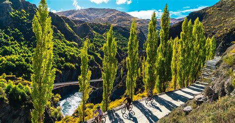 Bike The Wineries Full Day - Queenstown and Gibbston Valley ...