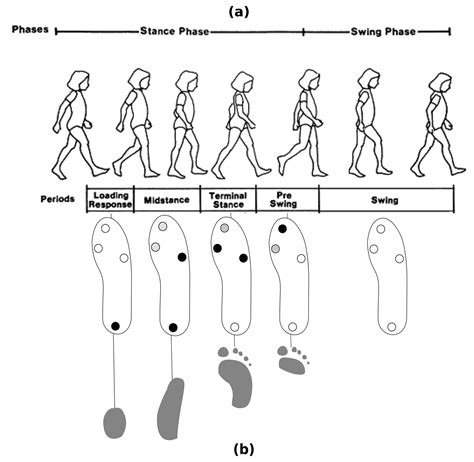 An Ambulatory System for Gait Monitoring Based on Wireless Sensorized ...