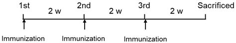 Intranasal Immunization with Nasal Immuno-Inducible Sequence-Fused ...