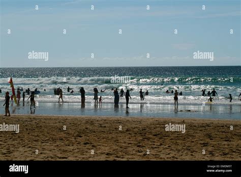 Swimming in the Ocean 的图像结果