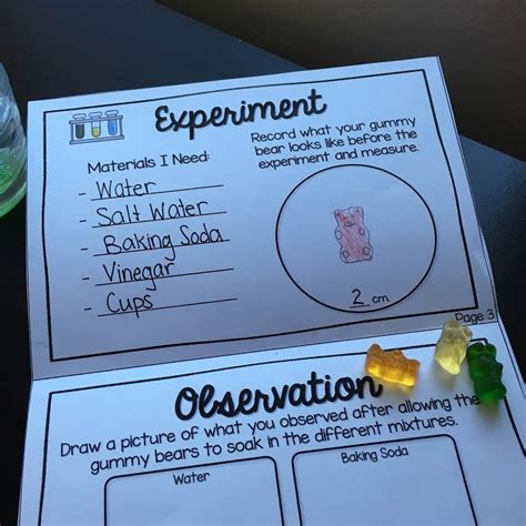 Science Experiments for 2nd Grade 的图像结果