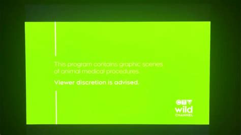CTV Wild Channel - Graphic Animal Medical Procedures Viewer Advisory ...