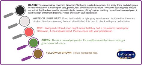 Image result for Healthy Poop Color