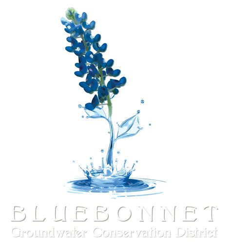 Applications - Bluebonnet Groundwater Conservation District