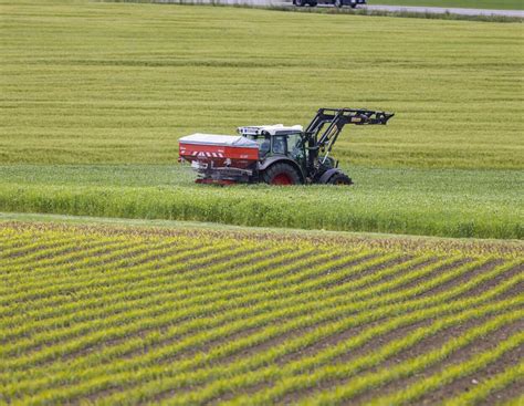Agrar-Professor lässt KI düngen – das Ergebnis überrascht | agrarheute.com