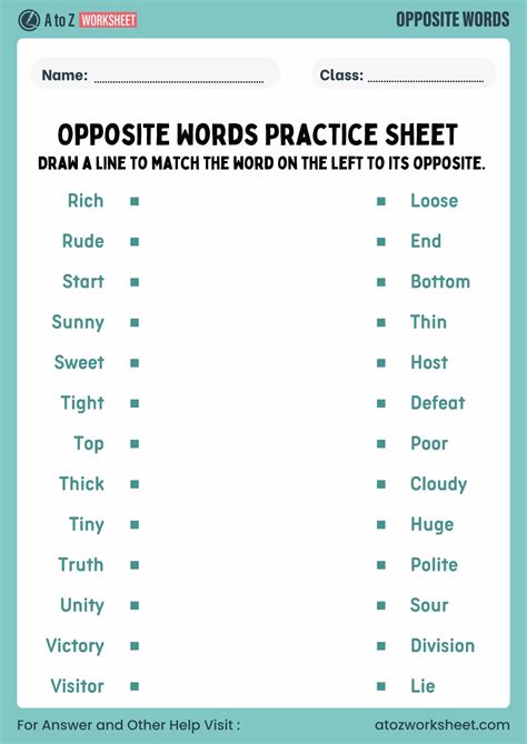 Antonyms Worksheet – Free Printable Opposite Words Worksheets for Grade ...