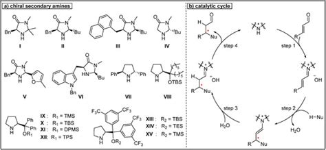Advances in the Asymmetric Total Synthesis of Natural Products Using ...