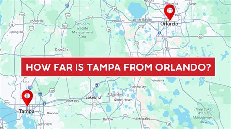How Far Is Tampa from Orlando? 4 Ways to Travel Between the Cities