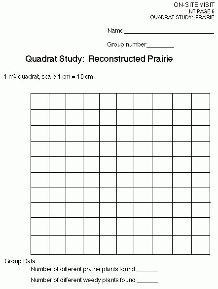 Image result for Free Science Lessons Using Quadrats