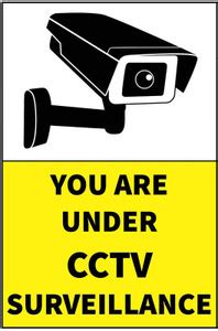 VAAIMAI You are Under CCTV Camera Sticker, 8X12 INCH, Yellow, Eco ...