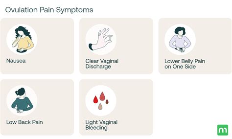 When You Feel Ovulation Pain, Is It Too Late to Conceive? – Mira Fertility Shop