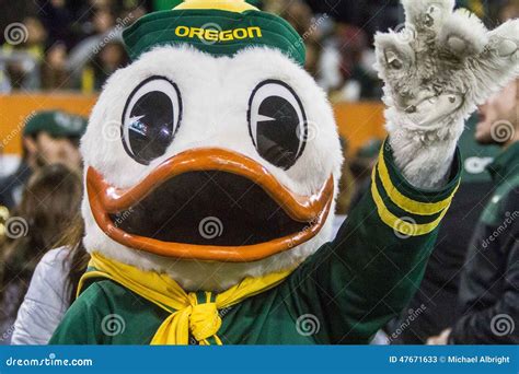 NCAA Football - Oregon at Oregon State Editorial Stock Photo - Image of ...