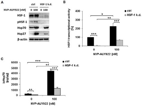 Cells | Special Issue : Molecular Chaperones: Cancer and Cell Death