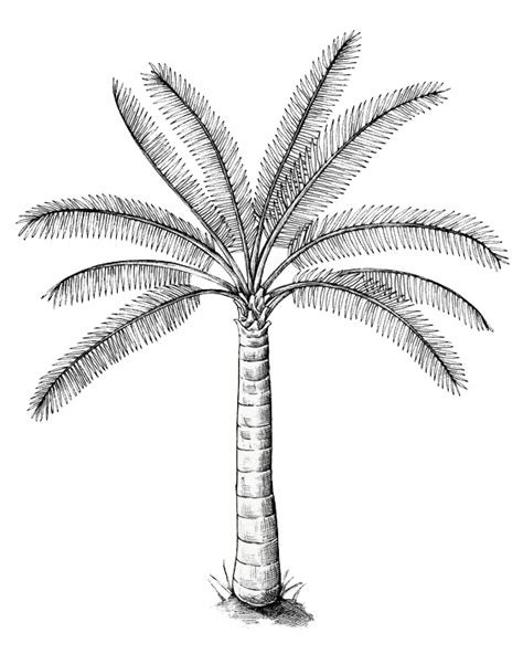 Buy Aesthetic Rings for Women Online | AZGA – Page 2