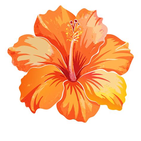 Pink hibiscus flower clipart – Artofit