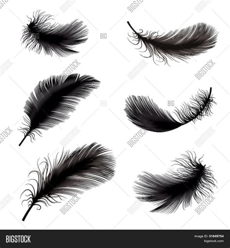 เวกเตอร์และภาพถ่าย (ทดลองใช้ฟรี) | Bigstock