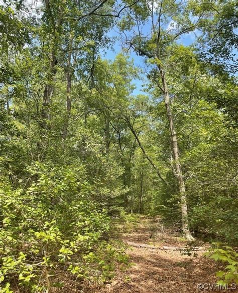 Lot 12 Dragon Run Rd, King & Queen, VA 23091 [Lot/Land] | Homes.com