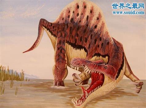 霸王龙vs牛龙vs棘背龙霸王龙vs棘背龙对战2022已更新今日图集