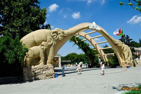 2019上海野生动物园-旅游攻略-门票-地址-问答-游记点评，上海旅游旅游景点推荐-去哪儿攻略