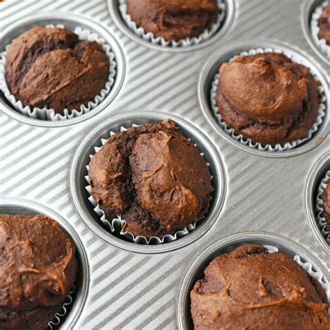 2 Ingredient Chocolate Pumpkin Muffins - Muffin Tin Recipes