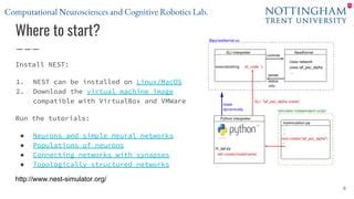Nest Programming Tutorial 的图像结果
