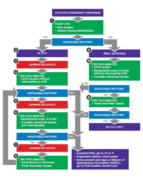 Image result for Pals Systematic Approach Algorithm