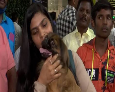 Chennai: Student delays departure, forgo luggage to bring pet dog from ...