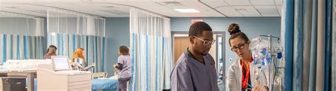 Image result for Direct Entry Nursing Programs Reviews