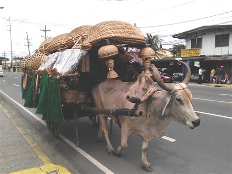 Let Us Share The Burden