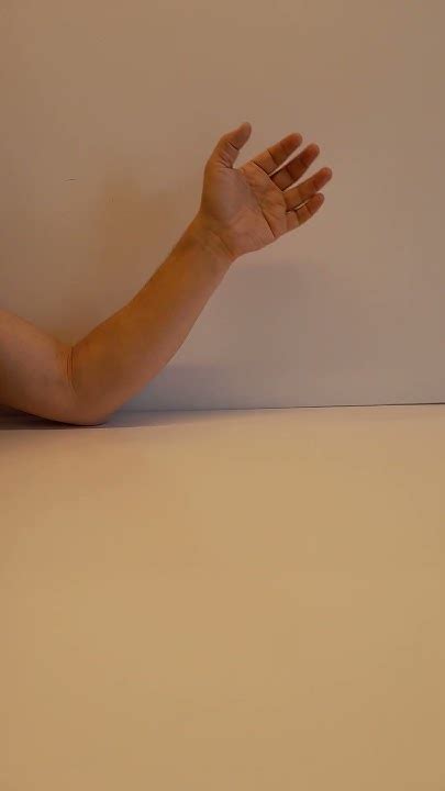 Image result for Codean