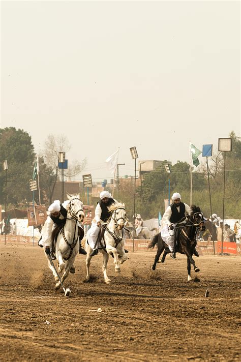 Team Sport 的图像结果