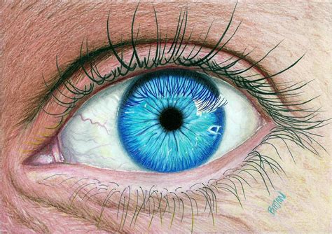 realistic eye drawing in color - Google Search | Eye drawing, Realistic ...