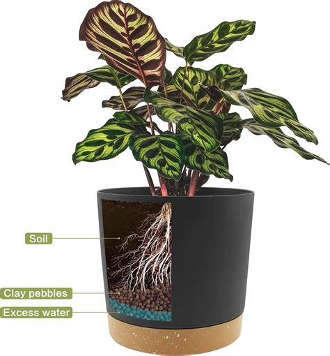 Buy QCQHDU Plant Pots Set of 2 Pack 8 inch,Planters for Indoor Plants ...