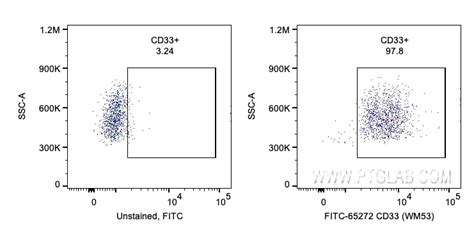 CD33 antibody (FITC-65272) | Proteintech