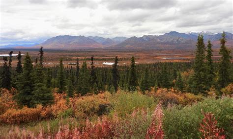 Visita Glennallen: scopri il meglio di Glennallen, Alaska, nel 2024 ...