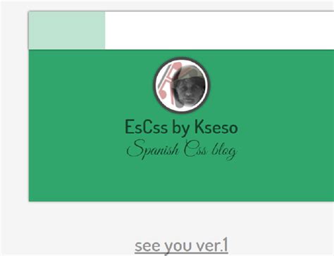 Image result for CSS Tab Style Div