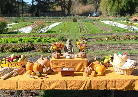 A Zen Harvest from Green Gulch Farm - Tricycle: The Buddhist Review