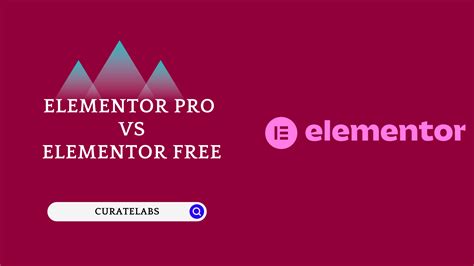 WordPress Elementor Basic vs Pro 的图像结果