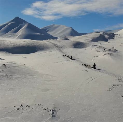 Job opportunities in Spitsbergen: Your guide to working in Svalbard ...