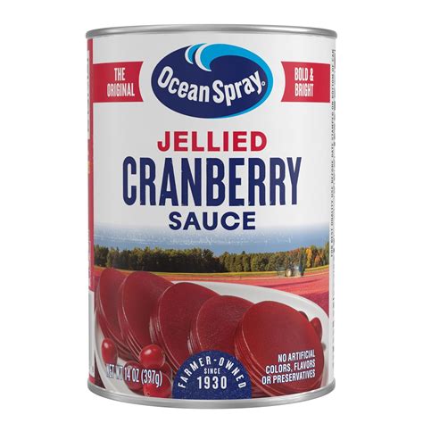 Ocean Free Jellied Sauce, Cranberry, 397 (01605) : Amazon.in: Grocery ...