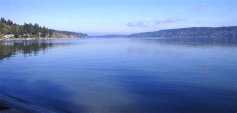 Do fish see color, are fish color blind