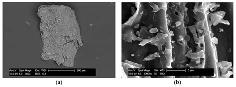 Pyrolysis Temperature Effects on Biochar–Water Interactions and ...