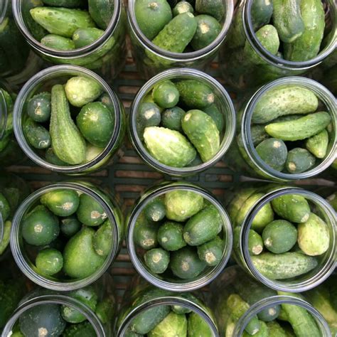 Pickling 101: How To Quick Pickle Fruits + Vegetables