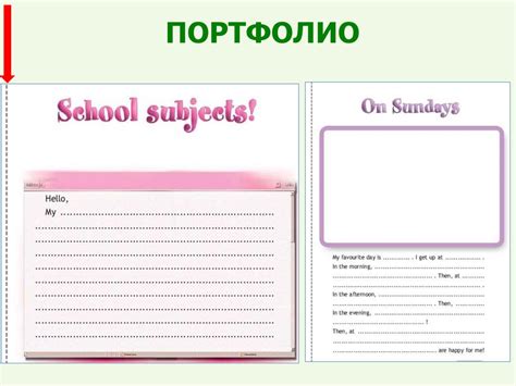 Portfolio sheets