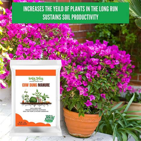Leafy Tales Cow Manure - 2 kg Manure Price in India - Buy Leafy Tales ...