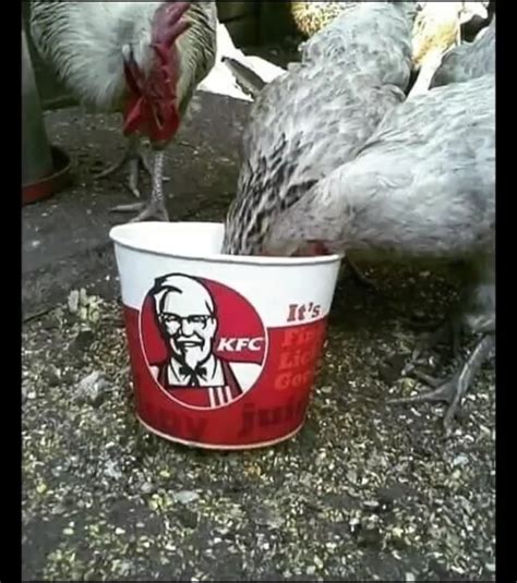 finger lickin