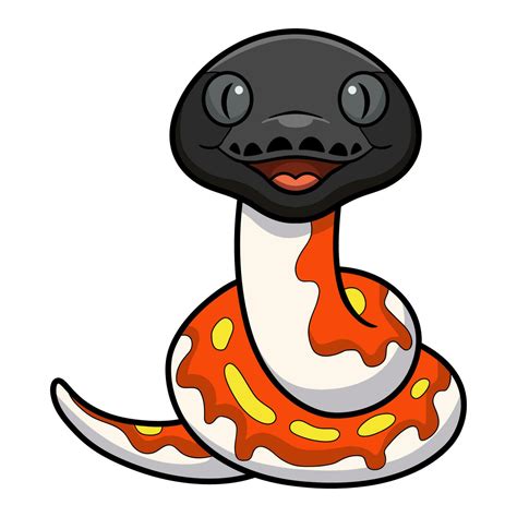 Image result for Red Python Pic