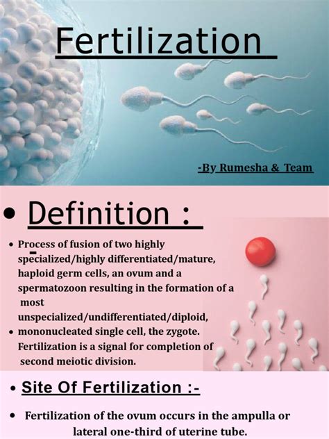 Image result for Fertilisation Types